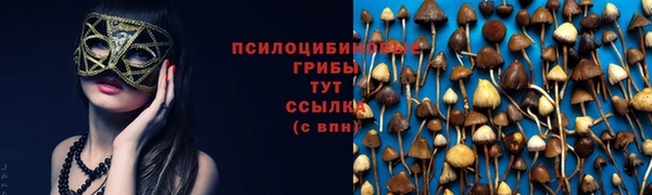 каннабис Верея