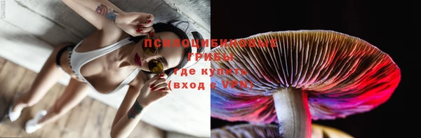 СК Верхний Тагил