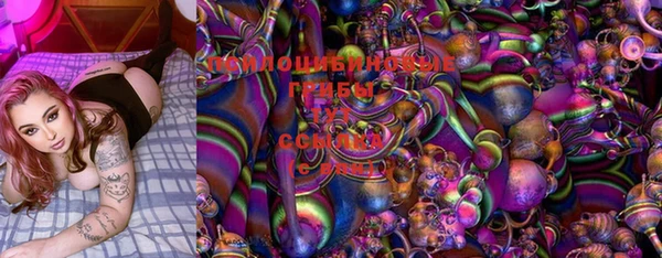 СК Верхний Тагил