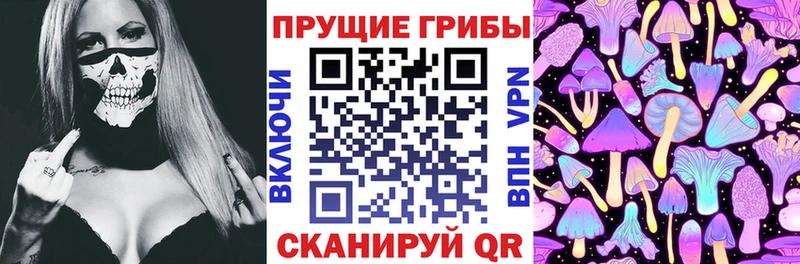 МЕГА вход Мончегорск Псилоцибиновые грибы Psilocybine cubensis где найти наркотики