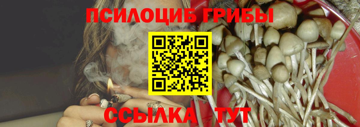 Галлюциногенные грибы мицелий  Галлюциногенные грибы Psilocybe  Мончегорск  Вход с VPN 