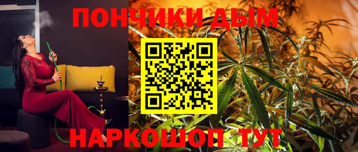 Конопля SATIVA & INDICA  Вход с VPN  Конопля SATIVA & INDICA  Мончегорск  МАРИХУАНА сатива  Конопля AK-47 